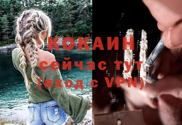 молекула духа Аркадак