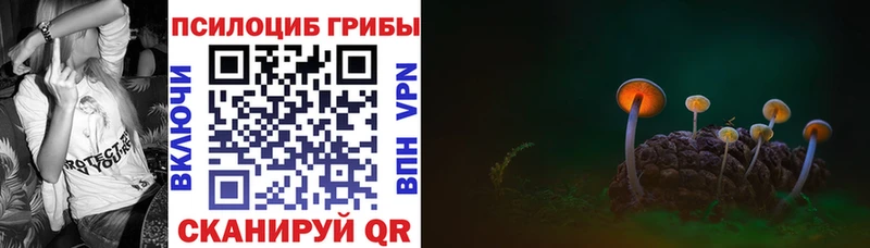 кракен как войти  Межгорье  Галлюциногенные грибы мухоморы 